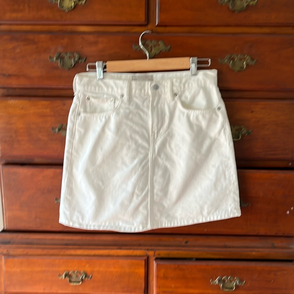 Everlane denim mini skirt